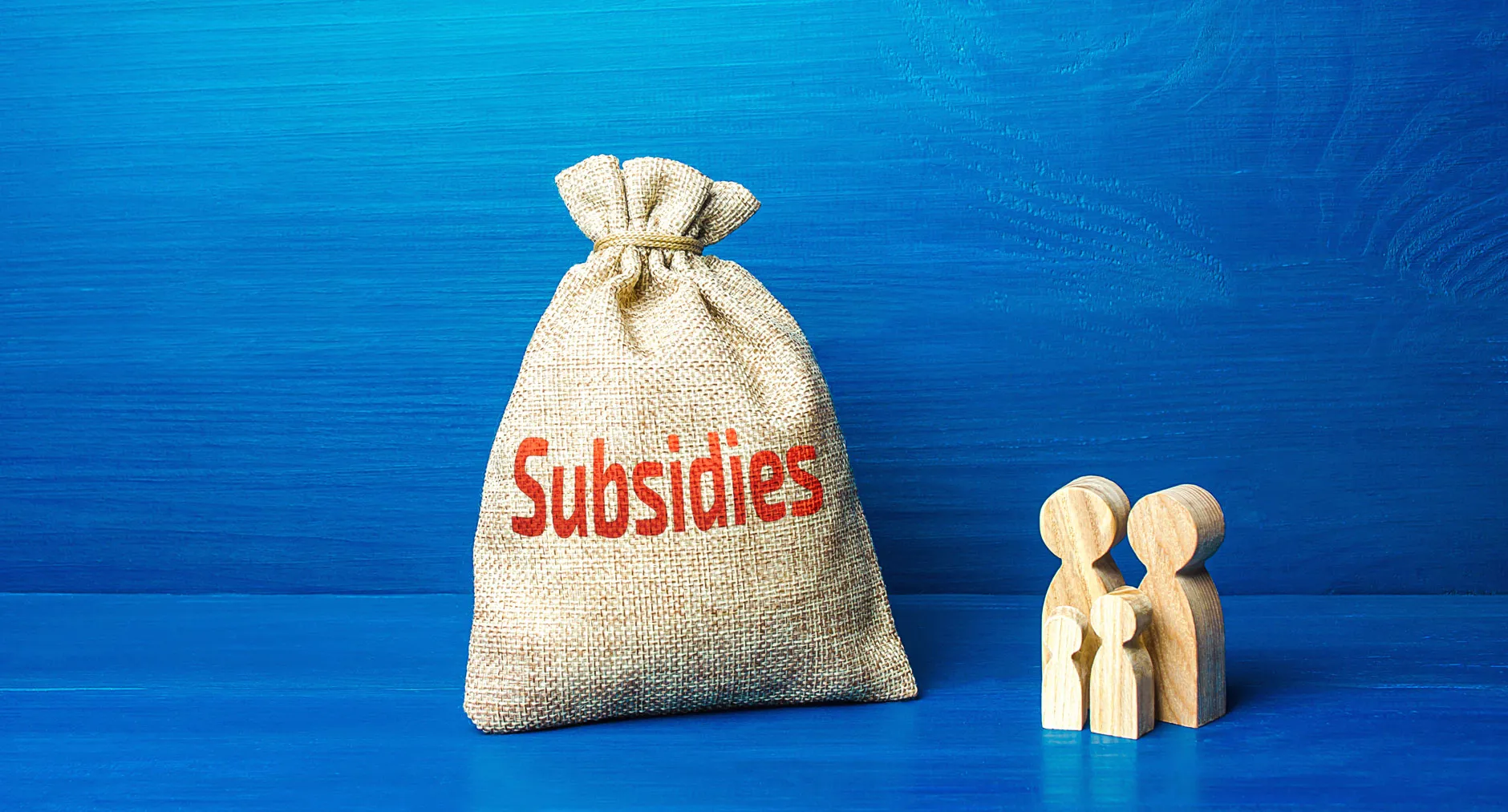 Istock 1304057739 Subsidie 1880