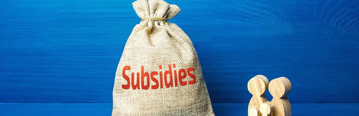 Istock 1304057739 Subsidie 1880