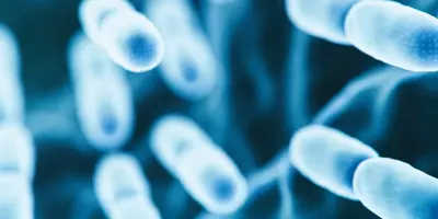 Legionella 1844x