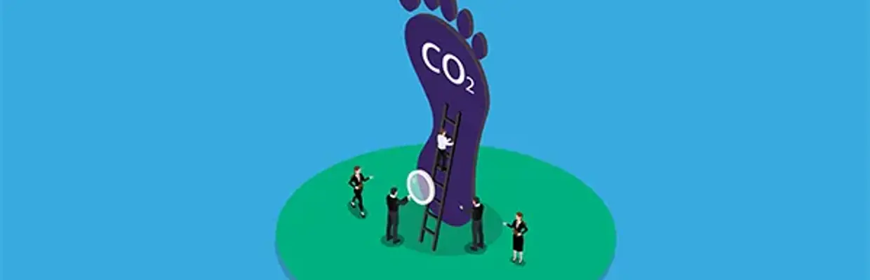 CO2 Voet En Ladder Paars Groen Blauw 600X300